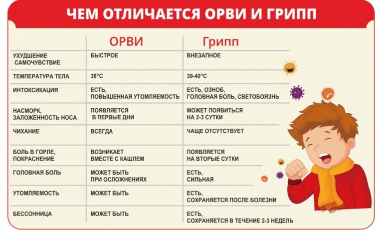 Иллюстрация к материалу «Нужна ли вакцинация против гриппа?»